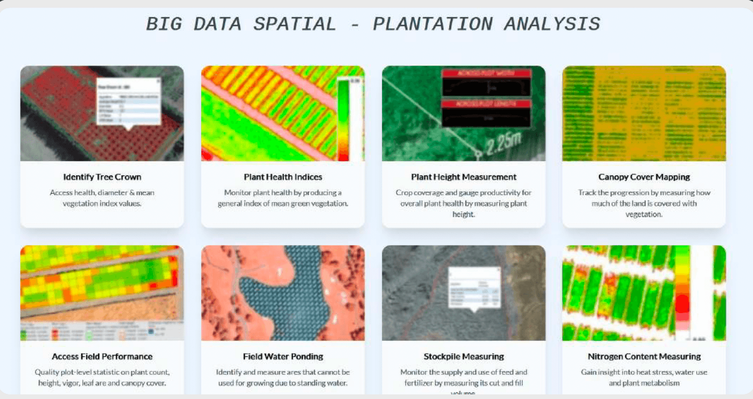 Plantation Management Web System
